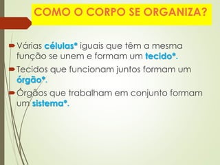COMO O CORPO SE ORGANIZA?
Várias células* iguais que têm a mesma
função se unem e formam um tecido*.
Tecidos que funcionam juntos formam um
órgão*.
Órgãos que trabalham em conjunto formam
um sistema*.
 