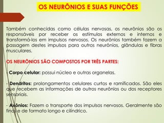 Também conhecidas como células nervosas, os neurônios são os
responsáveis por receber os estímulos externos e internos e
transformá-los em impulsos nervosos. Os neurônios também fazem a
passagem destes impulsos para outros neurônios, glândulas e fibras
musculares.
OS NEURÔNIOS SÃO COMPOSTOS POR TRÊS PARTES:
- Corpo celular: possui núcleo e outras organelas.
- Dendritos: prolongamentos celulares curtos e ramificados. São eles
que recebem as informações de outros neurônios ou dos receptores
sensoriais.
- Axônios: Fazem o transporte dos impulsos nervosos. Geralmente são
finos e de formato longo e cilíndrico.
OS NEURÔNIOS E SUAS FUNÇÕES
 