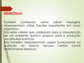 NEURÓGLIA
Também conhecida como célula neuroglial,
desempenham várias funções importantes em nosso
organismo.
São estas células que colaboram para a manutenção
de um ambiente químico propício para a produção
dos impulsos químicos.
Elas também desempenham papel fundamental na
proteção do sistema nervoso central contra
determinadas doenças.
 
