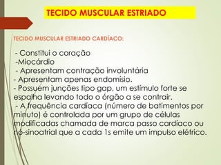 TECIDO MUSCULAR ESTRIADO CARDÍACO:
- Constitui o coração
-Miocárdio
- Apresentam contração involuntária
- Apresentam apenas endomísio.
- Possuem junções tipo gap, um estímulo forte se
espalha levando todo o órgão a se contrair.
- A frequência cardíaca (número de batimentos por
minuto) é controlada por um grupo de células
modificadas chamada de marca passo cardíaco ou
nó-sinoatrial que a cada 1s emite um impulso elétrico.
TECIDO MUSCULAR ESTRIADO
 