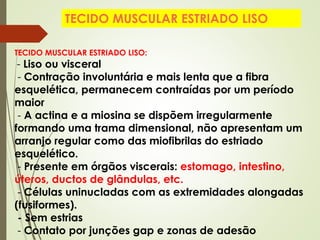TECIDO MUSCULAR ESTRIADO LISO:
- Liso ou visceral
- Contração involuntária e mais lenta que a fibra
esquelética, permanecem contraídas por um período
maior
- A actina e a miosina se dispõem irregularmente
formando uma trama dimensional, não apresentam um
arranjo regular como das miofibrilas do estriado
esquelético.
- Presente em órgãos viscerais: estomago, intestino,
úteros, ductos de glândulas, etc.
- Células uninucladas com as extremidades alongadas
(fusiformes).
- Sem estrias
- Contato por junções gap e zonas de adesão
TECIDO MUSCULAR ESTRIADO LISO
 