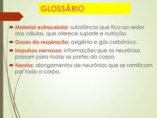 GLOSSÁRIO
 Material extracelular: substância que fica ao redor
das células, que oferece suporte e nutrição.
 Gases da respiração: oxigênio e gás carbônico.
 Impulsos nervosos: informações que os neurônios
passam para todas as partes do corpo.
 Nervos: alongamentos de neurônios que se ramificam
por todo o corpo.
 