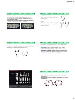 05/09/2019
3
Características gerais e comuns dos dentes
- As faces mesiais são sempre maiores nos dois sentidos (ocluso-
cervical e vestíbulo-lingual) e mais planas que as faces distais.
- As faces vestibulares são mais altas e mais largas (sentido mésio-
distal) que as faces linguais.
- Como única exceção temos o 1º molar superior, onde a face lingual
ou palatina se apresentamais larga que a vestibular.
Características gerais e comuns dos dentes
Linha do colo anatômico:
- Linha sinuosa e contínua que divide o dente
em coroa e raiz.
Bordas:
- Segmentos de reta que delimitam a transição
entre as faces dentais, levando o nome das
faces que delimitam.
Características gerais e comuns dos dentes
Bossas:
- Saliências de esmalte que se destacamnas faces dentais, localizada
no terço cervical dos dentes anteriores e posteriores.
Características gerais e comuns dos dentes
Bossa mesial: Localizada no terço incisal ou oclusal dos dentes
anteriores e posteriores.
Bossa distal: Localizada no terço incisal ou oclusal, porém
localizada mais próxima do terço médio que a bossa mesial.
Bossa lingual ou palatina: Varia do conforme o grupo de dentes
anterior ou posterior; Nos dentes anteriores localiza-se no terço
cervical e nos dentes posteriores no terço médio.
Características gerais e comuns dos dentes
Linha equatorial:
- Linha de maior contorno da coroa dental, resultanteda união de
todas as bossas.
- A linha equatorial divide a coroa dental em duas áreas: área retentiva
e área expulsiva.
 
