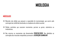 MIOLOGIA
MÚSCULOS
 Músculos são células que possuem a capacidade de movimentação, que ocorre pela
contração das miofibrilas localizadas no citoplasma da célula muscular;
 Células contráteis que executam movimentos, parciais ou gerais, voluntários ou
involuntários.
 Nas vísceras os movimentos são denominados PERISTÁLTICOS. Nas glândulas as
contrações dos músculos mioepiteliais promovem a SECREÇÃO GLANDULAR.
 