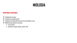IMPORTÂNCIA ZOOTÉCNICA:
 Avaliação da carcaça;
 Estudos de produção animal;
 Avaliação de produtividade animal em propriedades rurais;
 Melhoramento genético orientado:
 Cruzamentos;
 Cavalos de tração, atletas, passeio, lida.
MIOLOGIA
 