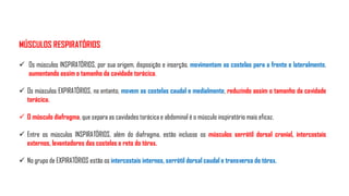 MÚSCULOS RESPIRATÓRIOS
 Os músculos INSPIRATÓRIOS, por sua origem, disposição e inserção, movimentam as costelas para a frente e lateralmente,
aumentando assim o tamanho da cavidade torácica.
 Os músculos EXPIRATÓRIOS, no entanto, movem as costelas caudal e medialmente, reduzindo assim o tamanho da cavidade
torácica.
 O músculo diafragma, que separa as cavidades torácica e abdominal é o músculo inspiratório mais eficaz.
 Entre os músculos INSPIRATÓRIOS, além do diafragma, estão inclusos os músculos serrátil dorsal cranial, intercostais
externos, levantadores das costelas e reto do tórax.
 No grupo de EXPIRATÓRIOS estão os intercostais internos, serrátil dorsal caudal e transverso do tórax.
 