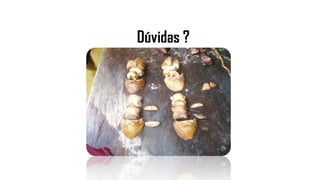 Dúvidas ?
 