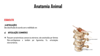 Anatomia Animal
ESQUELETO
ARTICULAÇÕES
São classificadas de acordo com a mobilidade em:
a) ARTICULAÇÕES SEMIMÓVEIS
 Possuem características comuns às anteriores, são constituídas por lâminas
fibro-cartilaginosas e também por ligamentos. Ex.: articulações
intervertebrais.
 