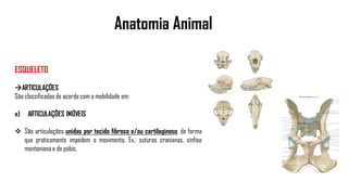 Anatomia Animal
ESQUELETO
ARTICULAÇÕES
São classificadas de acordo com a mobilidade em:
a) ARTICULAÇÕES IMÓVEIS
 São articulações unidas por tecido fibroso e/ou cartilaginoso, de forma
que praticamente impedem o movimento. Ex.: suturas cranianas, sínfise
mentoniana e do púbis.
 