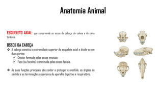 Anatomia Animal
ESQUELETO AXIAL: que compreende os ossos da cabeça, da coluna e da caixa
torácica;
OSSOS DA CABEÇA
 A cabeça constitui a extremidade superior do esqueleto axial e divide-se em
duas partes:
 Crânio: formado pelos ossos craniais;
 Face (ou focinho): constituída pelos ossos faciais.
 As suas funções principais são conter e proteger o encéfalo, os órgãos do
sentido e as terminações superiores do aparelho digestivo e respiratório.
 