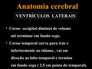 Anatomia cerebral
     VENTRÍCULOS LATERAIS

• Corno occipital diminui de volume
  até terminar em fundo cego.
• Corno temporal curva para trás e
  inferiormente ao tálamo , vai em
  direção ao lobo temporal e termina
  em fundo cego ( 2,5 cm ponta do temporal).
 