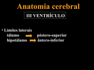 Anatomia cerebral
              III VENTRÍCULO


• Limites laterais
   tálamo            póstero-superior
   hipotálamo        ântero-inferior
 