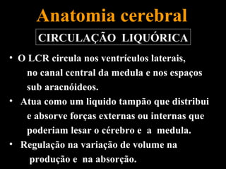 Anatomia cerebral
      CIRCULAÇÃO LIQUÓRICA
• O LCR circula nos ventrículos laterais,
    no canal central da medula e nos espaços
    sub aracnóideos.
• Atua como um liquido tampão que distribui
    e absorve forças externas ou internas que
    poderiam lesar o cérebro e a medula.
• Regulação na variação de volume na
     produção e na absorção.
 