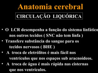 Anatomia cerebral
       CIRCULAÇÃO LIQUÓRICA

• O LCR desempenha a função do sistema linfático
    nos outros tecidos ( SNC não tem linfa )
• Transfere substância do sangue para os
    tecidos nervosos ( BHE )
• A troca de eletrólitos é mais fácil nos
    ventrículos que nos espaços sub aracnoideos.
• A troca de água é mais rápida nas cisternas
    que nos ventrículos.
 