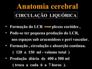 Anatomia cerebral
     CIRCULAÇÃO LIQUÓRICA

• Formação do LCR        plexos coróides ,
• Pode-se ter pequena produção do LCR,
   nos espaços sub aracnoideos e peri vascular.
• Formação , circulação e absorção contínua.
    ( 120 a 150 ml - volume total )
• Produção diária de 400 a 500 ml
    ( troca a cada 6 a 7 horas ).
 