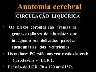 Anatomia cerebral
       CIRCULAÇÃO LIQUÓRICA

•   Os plexos coróides são franjas de
     grupos capilares de pia máter que
     invaginam em delicadas paredes
     ependimárias dos ventrículos.
• Os maiores PC estão nos ventrículos laterais
     ( produzem + LCR ) .
• Pressão do LCR 70 a 120 mmH2O.
 