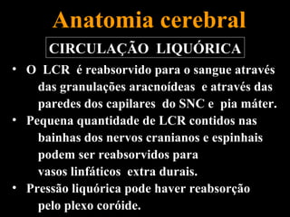 Anatomia cerebral
      CIRCULAÇÃO LIQUÓRICA
• O LCR é reabsorvido para o sangue através
    das granulações aracnoídeas e através das
    paredes dos capilares do SNC e pia máter.
• Pequena quantidade de LCR contidos nas
    bainhas dos nervos cranianos e espinhais
    podem ser reabsorvidos para
    vasos linfáticos extra durais.
• Pressão liquórica pode haver reabsorção
    pelo plexo coróide.
 