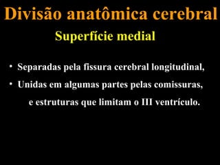 Divisão anatômica cerebral
           Superfície medial

• Separadas pela fissura cerebral longitudinal,
• Unidas em algumas partes pelas comissuras,
    e estruturas que limitam o III ventrículo.
 