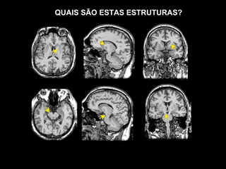 QUAIS SÃO ESTAS ESTRUTURAS?
 