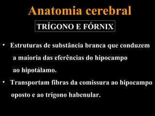 Anatomia cerebral
          TRÍGONO E FÓRNIX

• Estruturas de substância branca que conduzem
   a maioria das eferências do hipocampo
   ao hipotálamo.
• Transportam fibras da comissura ao hipocampo
  oposto e ao trígono habenular.
 