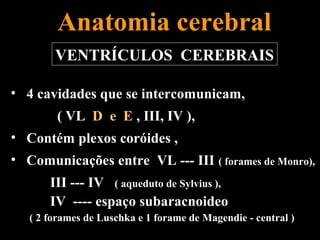 Anatomia cerebral
        VENTRÍCULOS CEREBRAIS

• 4 cavidades que se intercomunicam,
        ( VL D e E , III, IV ),
• Contém plexos coróides ,
• Comunicações entre VL --- III ( forames de Monro),
       III --- IV ( aqueduto de Sylvius ),
       IV ---- espaço subaracnoideo
   ( 2 forames de Luschka e 1 forame de Magendie - central )
 