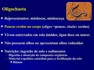 Oligochaeta
   Representantes: minhocas, minhocoçu

   Poucas cerdas no corpo (oligos =pouco; chaite: cerdas)

   Vivem enterrados em solo úmidos, água doce ou mares

   Não possuem olhos ou apresentam olhos reduzidos

   Nutrição: ingestão de solo e sedimentos
    – Digestão e absorção de compostos orgânicos
    – Material expelidos contribui para a fertilização do solo
        Húmus
 