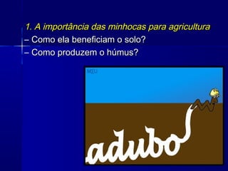 1. A importância das minhocas para agricultura
– Como ela beneficiam o solo?
– Como produzem o húmus?
 