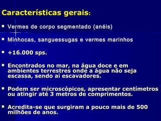 Características gerais:
   Vermes de corpo segmentado (anéis)

   Minhocas, sanguessugas e vermes marinhos

   +16.000 sps.

   Encontrados no mar, na água doce e em
    ambientes terrestres onde a água não seja
    escassa, sendo ai escavadores.

   Podem ser microscópicos, apresentar centímetros
    ou atingir até 3 metros de comprimentos.

   Acredita-se que surgiram a pouco mais de 500
    milhões de anos.
 