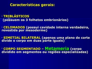 Características gerais:


•   TRIBLÁSTICOS
    (possuem os 3 folhetos embrionários)

•CELOMADOS (possui cavidade interna verdadeira,
revestida por mesoderme)

•SIMETIAL BILATERAL (apenas uma plano de corte
divide o corpo em duas parte iguais)

•CORPO SEGMENTADO – Metameria (corpo
dividido em segmentos ou regiões especializadas)
 