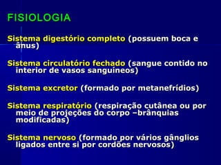 FISIOLOGIA

Sistema digestório completo (possuem boca e
  ânus)

Sistema circulatório fechado (sangue contido no
  interior de vasos sanguíneos)

Sistema excretor (formado por metanefrídios)

Sistema respiratório (respiração cutânea ou por
  meio de projeções do corpo –brânquias
  modificadas)

Sistema nervoso (formado por vários gânglios
  ligados entre si por cordões nervosos)
 