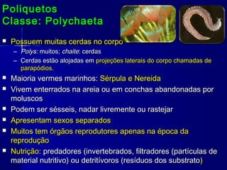 Poliquetos
Classe: Polychaeta
   Possuem muitas cerdas no corpo
    – Polys: muitos; chaite: cerdas
    – Cerdas estão alojadas em projeções laterais do corpo chamadas de
      parapódios.
   Maioria vermes marinhos: Sérpula e Nereida
   Vivem enterrados na areia ou em conchas abandonadas por
    moluscos
   Podem ser sésseis, nadar livremente ou rastejar
   Apresentam sexos separados
   Muitos tem órgãos reprodutores apenas na época da
    reprodução
   Nutrição: predadores (invertebrados, filtradores (partículas de
    material nutritivo) ou detritívoros (resíduos dos substrato)
 