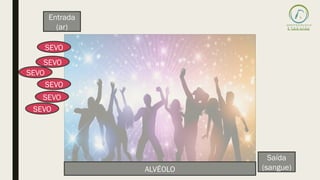 SEVO
Entrada
(ar)
Saída
(sangue)
SEVO
SEVO
SEVO
SEVO
SEVO
ALVÉOLO
 