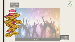 SEVO
Entrada
(ar)
Saída
(sangue)
SEVO
SEVO
SEVO
SEVO
SEVO
ALVÉOLO
SEVO
SEVO
SEVO
SEVO
SEVO
SEVO
N20
N20
N20
N20
N20
N20
N20
N20
N20
N20
 