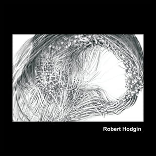 Robert Hodgin
 