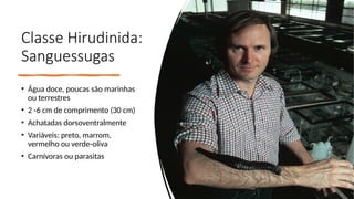 Classe Hirudinida:
Sanguessugas
• Água doce, poucas são marinhas
ou terrestres
• 2 -6 cm de comprimento (30 cm)
• Achatadas dorsoventralmente
• Variáveis: preto, marrom,
vermelho ou verde-oliva
• Carnívoras ou parasitas
 