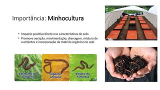 Importância: Minhocultura
• Impacto positivo direto nas características do solo
• Promove aeração, movimentação, drenagem, mistura de
nutrientes e incorporação da matéria orgânica no solo
 