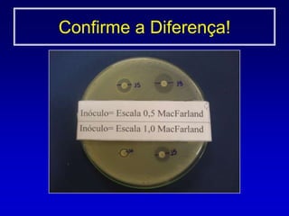  Método de crescimento0,5 McFarland 1a 2x108 UFC/mL