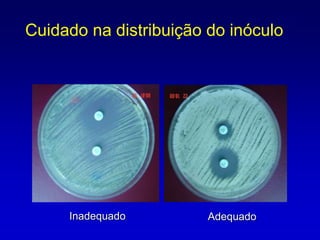   Ajustar a turbidez	0,5 McFarland1 a 2 x 108 UFC/mL  Estabilizar 15 min.TESTE DE SENSIBILIDADE AOS ANTIMICROBIANOSInóculo