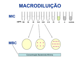  Efeitos da variação de Magnésio e Cálcio TESTE DE DIFUSÃO EM ÁGARDiscos Conservação		8oC ou 				freezer(não “frost free”)Imipenem, Ertapenem, Cefaclor e combinações de ác.clavulânicoRetirar do refrigerador ou do freezer até   2 horas antes do uso