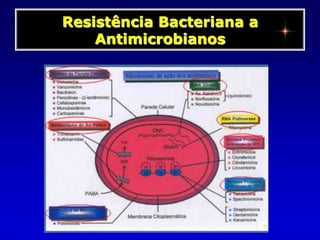 Resistência Bacteriana a Antimicrobianos