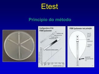 Inoculação homogênea