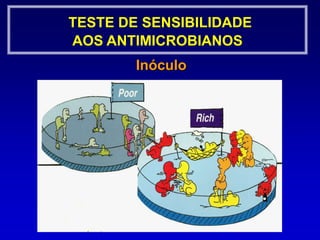 Teste de sensibilidade aos antimicrobianosBactéria e Preparo do Inóculo Suspensão direta