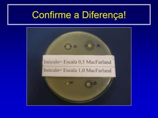  Método de crescimento0,5 McFarland 1a 2x108 UFC/mL