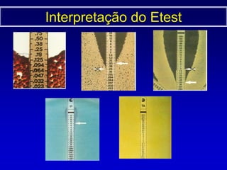 Esperar diminuir a umidade antes da aplicação dos discos      	Cuidado na distribuição do inóculoInadequadoAdequado