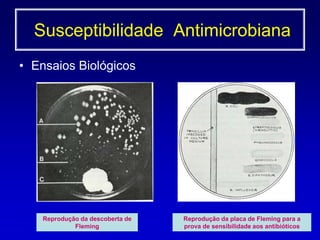 Ensaios BiológicosReprodução da descoberta de FlemingReprodução da placa de Fleming para a prova de sensibilidade aos antibióticos   Susceptibilidade  Antimicrobiana
