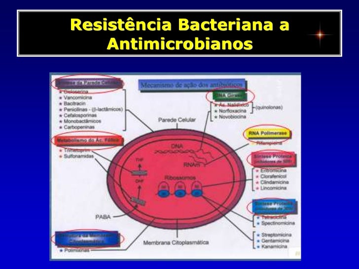 download cholesterol and beyond the