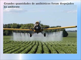 Grandes quantidades de antibióticos foram despejados
no ambiente
 