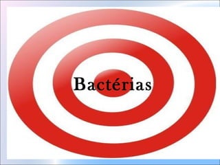 Bactérias
 