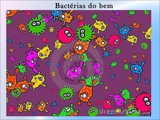 Bactérias do bem
 