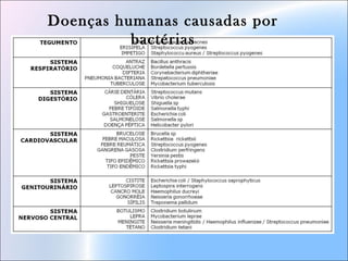 Doenças humanas causadas por
bactérias
 